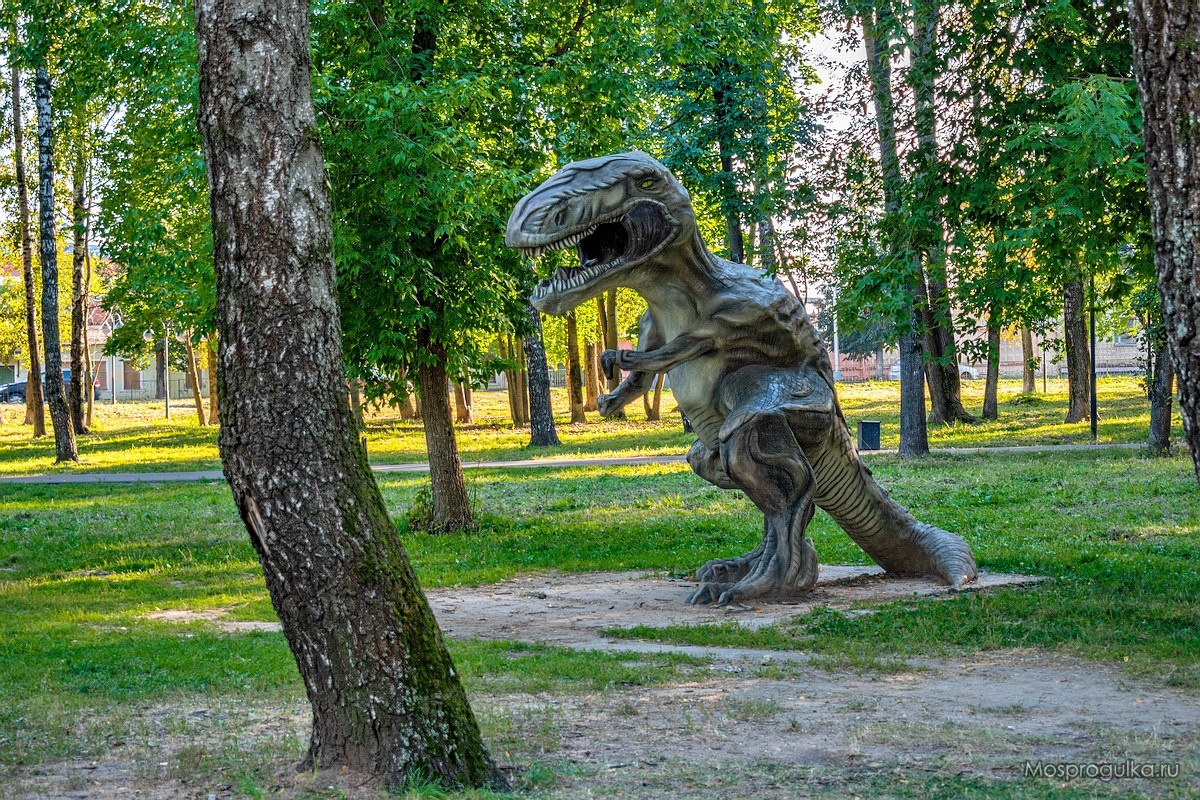 Принарский парк серпухов